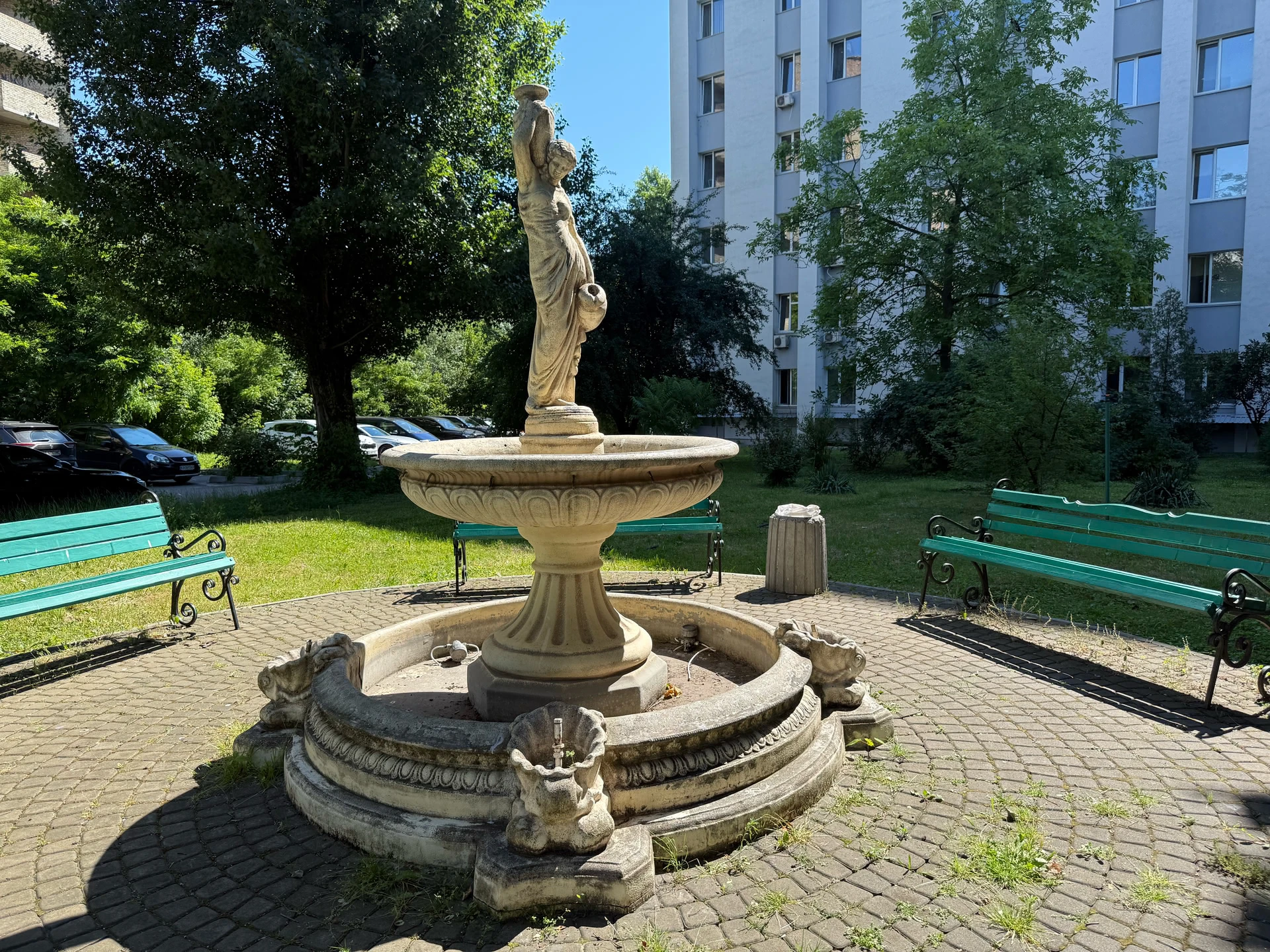 Інститут нейрохірургії ім. А.П. Ромоданова НАМН України. Фонтан